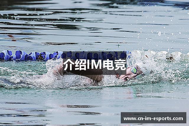 介绍IM电竞